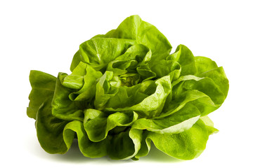 Organic lettuce isolated on white.