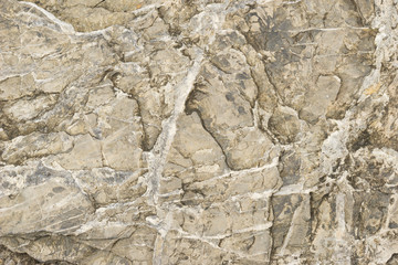 Texture of stone 1