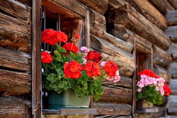 Fototapeta na wymiar Beautiful flowers on old traditional farmhouse