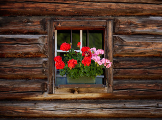 Fototapeta na wymiar Beautiful flowers on old traditional farmhouse