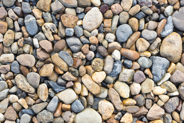 Stone Background 1
