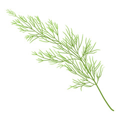 dill