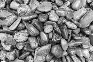 Black and white Stone Background 1