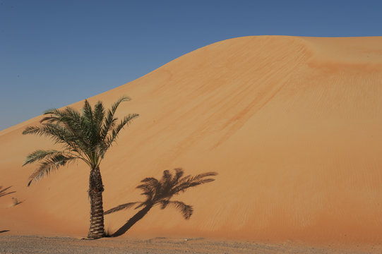 Abu Dhabi Desert Dunes