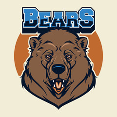 Bear Head Mascot