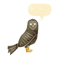 cartoon owl with speech bubble