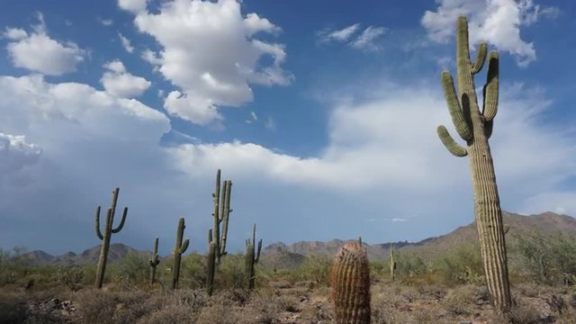 Time-lapse of Arizona Desert cloud mountain scape