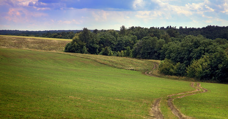 idealistic summer landscape