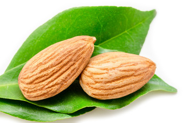 Almond and green leaf