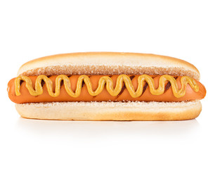 Hot dog isolated