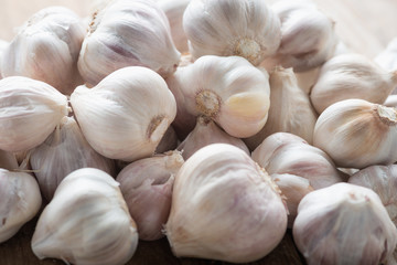 Garlic on the wooden background.