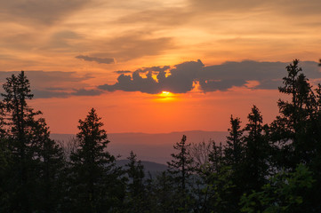 sunset sky over a hilly forest