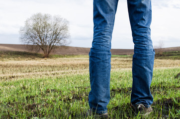 Man stands on burnt field with some remains of green grass and lonely tree on it. Nature background.