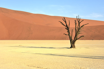 Dead Vlei, Namibia