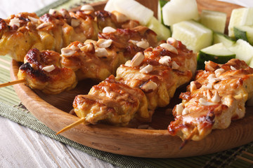 Asian Kebab: Chicken satay with roasted peanuts, horizontal
