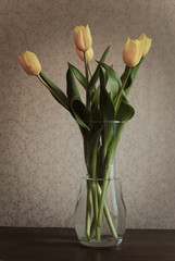 Bouquet of tulips
