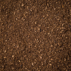 close up soil peat moss dirty background and texture