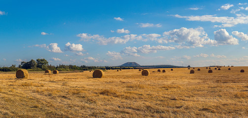 landscape with rolls of hay and mountain
