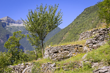 Beautiful Landscape in the Valle Maggia