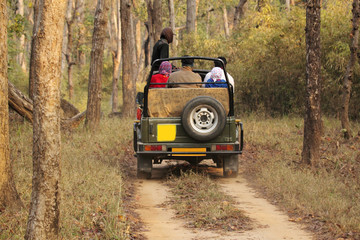 Safari jeep in deep forest of Kanha national park Madhya pradesh