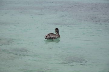 Paesaggi dei caraibi