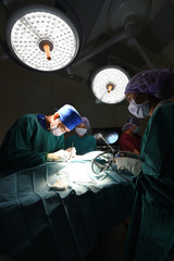 group of veterinarian doctor in operation room for laparoscopic surgical