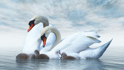 Naklejka premium Swan family - 3D render