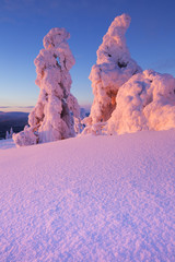Sunset over frozen trees on a mountain, Levi, Finnish Lapland