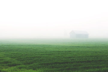 An old barn in the field on a very foggy morning. Image taken during sunrise in Finland. Image has a vintage effect applied.