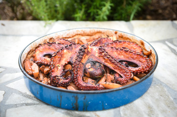 Preparing and Cooking of octopus in traditional Balkan Greek Med