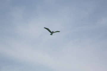 Paesaggi caraibici della polinesia con isole e mare corsllino