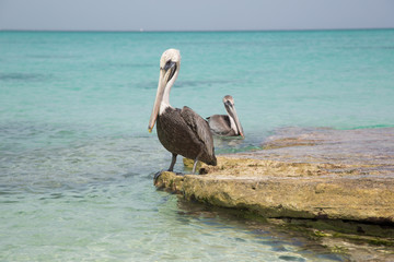 Paesaggi dei Caraibi