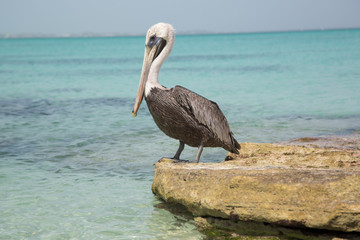 Paesaggi dei Caraibi