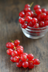 fresh ripe currant