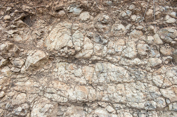 Texture from old coquina (limestone) brown wall