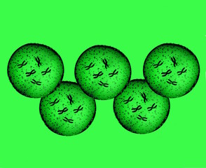 Olympians green microbes