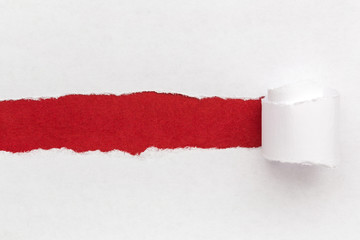 Paper background