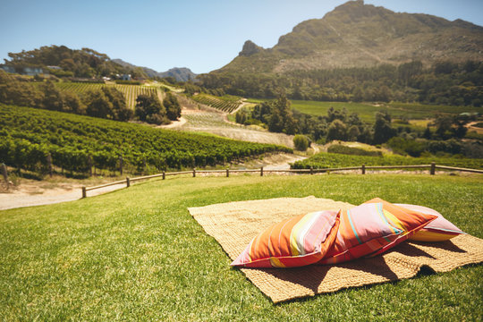 Carpet and pillows on hill with view of vineyard