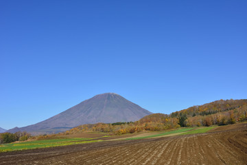 羊蹄山麓の景色