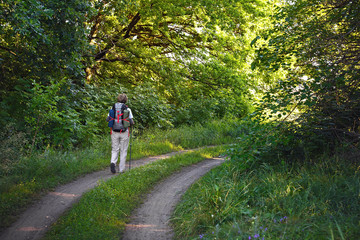 Obraz premium Traveler with a backpack and hiking sticks.