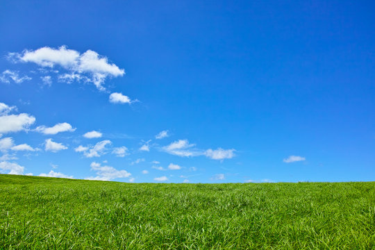 草原と青空