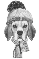 Portrait of Beagle Dog with scarf and hat. Hand drawn illustration.
