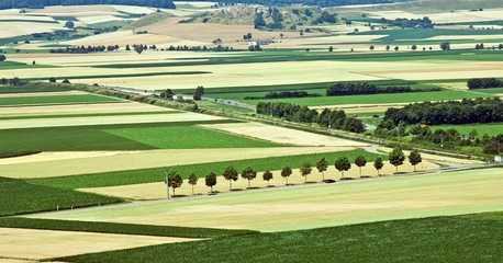 Nördlinger Landschaft