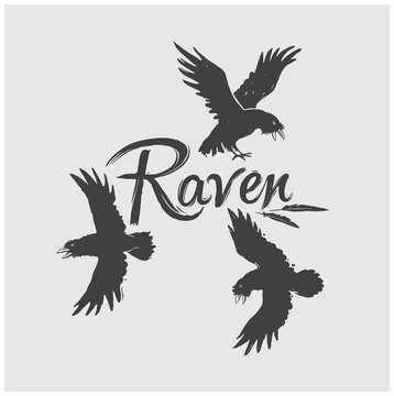 Flock of raven in flight with the inscription: "Raven".