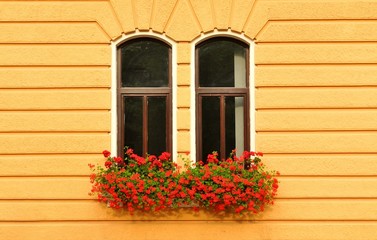 Fototapeta na wymiar Old window and flower pots in Brasov, Romania