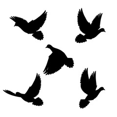 Set doves
