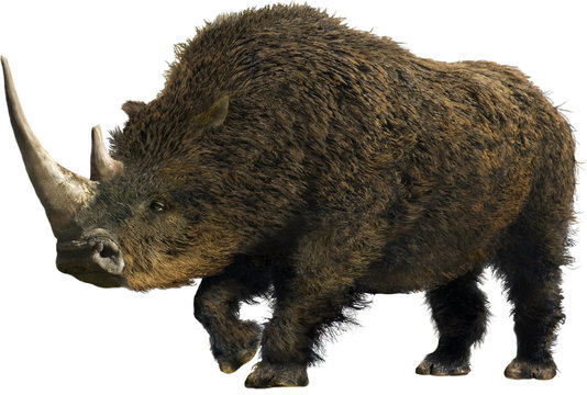 Pleistocene Animals Images – Browse 1,275 Stock Photos, Vectors, and Video | Adobe Stock Pleistocene Animals Images – Browse 1,275 Stock Photos, Vectors, and Video | Adobe Stock