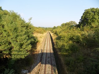 Fototapeta na wymiar Railroad in nature
