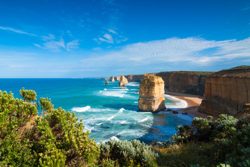 The landmark Twelve Apostles along the famous Great Ocean Road, Victoria, Australia with cliff-top coastal vegetation in the foreground