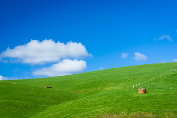 Naklejka premium Generic green hilly farmland with fluffy white clouds in blue sky